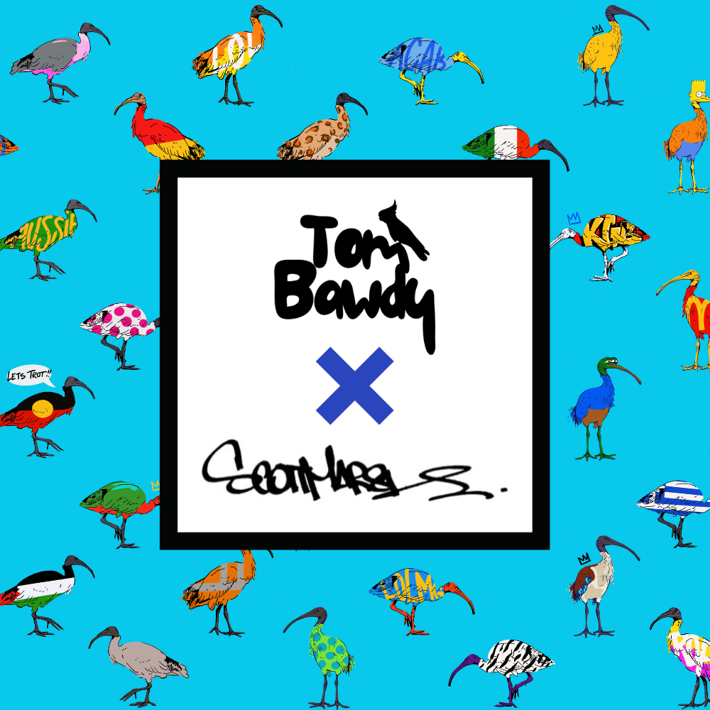Bin Chook Nation